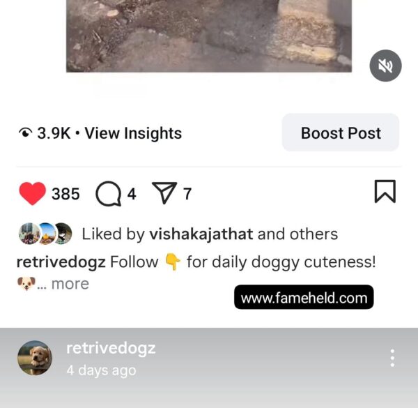 Buy Instagram Account