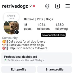Buy Instagram Account