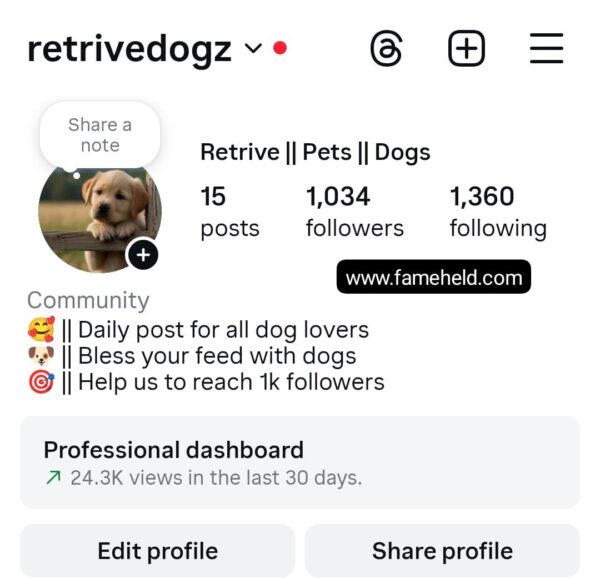 Buy Instagram Account