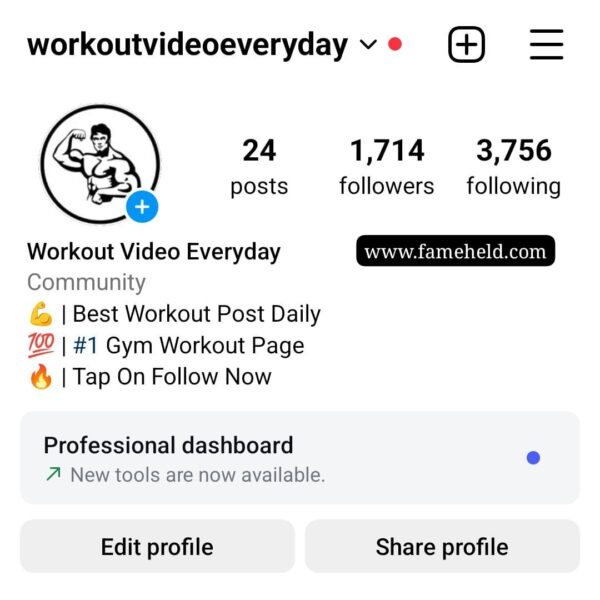 Buy Instagram Account