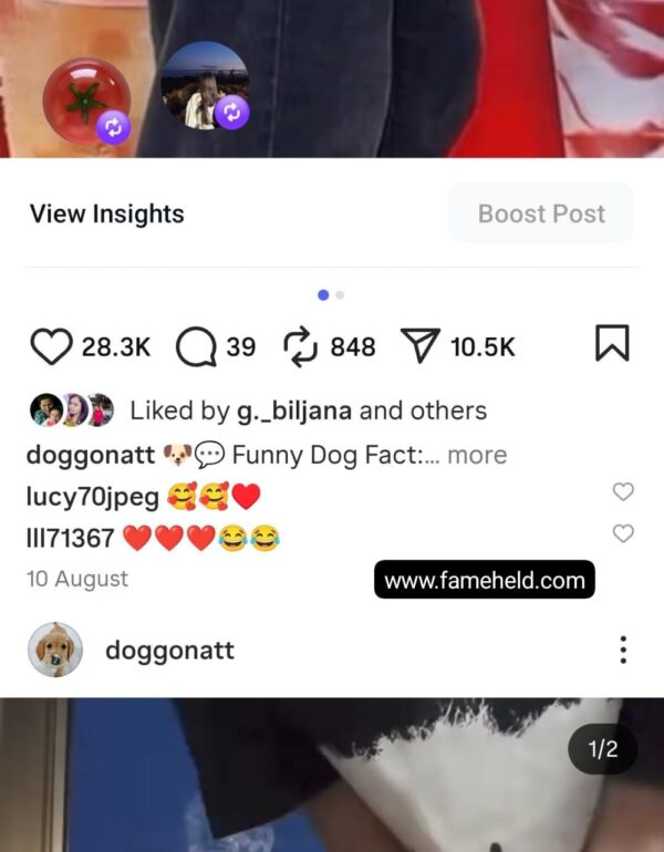 Buy Instagram Account