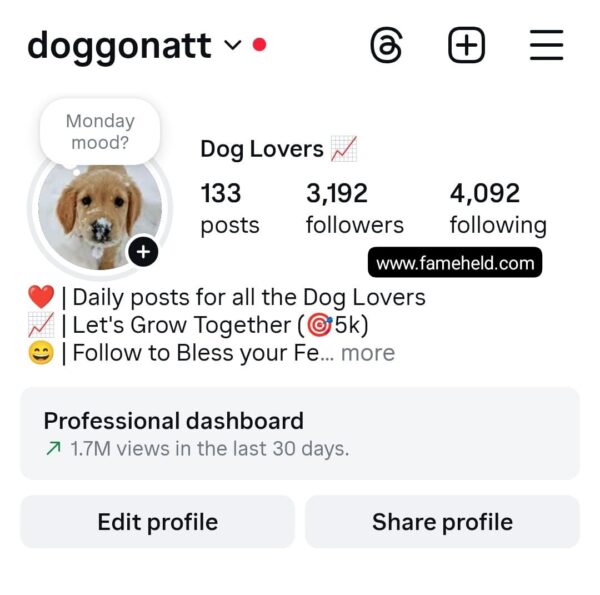 Buy Instagram Account