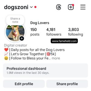 Buy Instagram Account