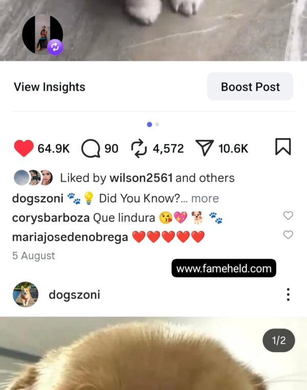 Buy Instagram Account