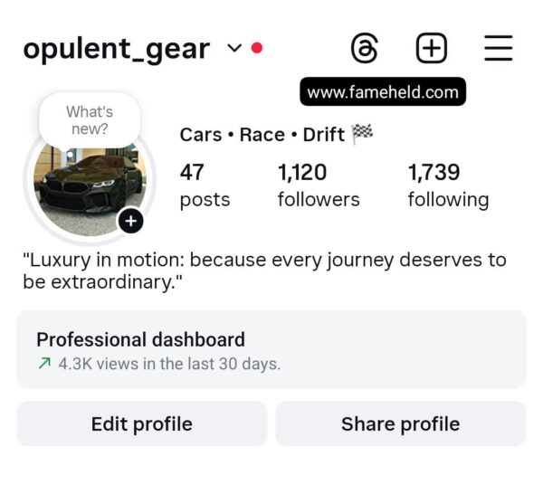 Buy Instagram Account