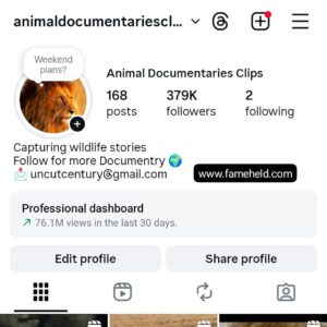 379k animals