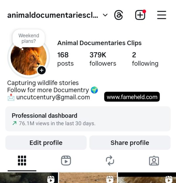 379k animals