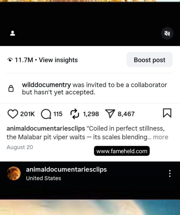 Buy Instagram Account