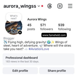 0.5k airplane