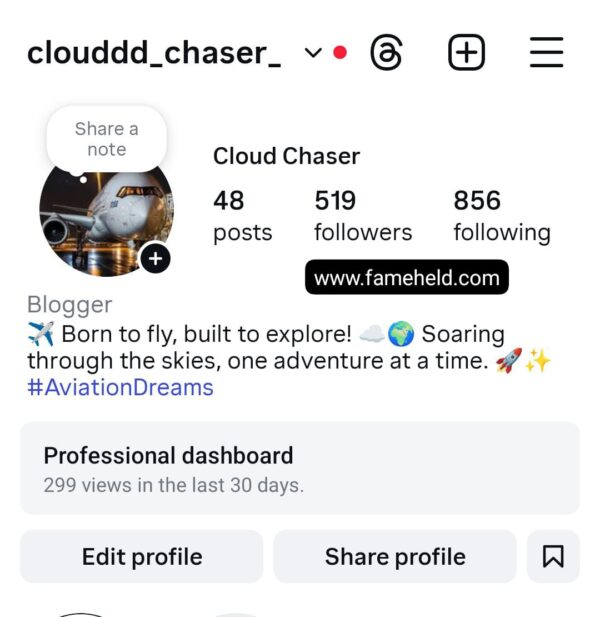 0.5k airplane