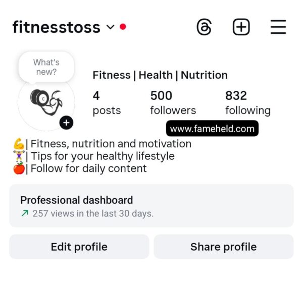 Buy Instagram Account