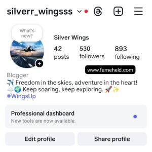 0.5k airplane