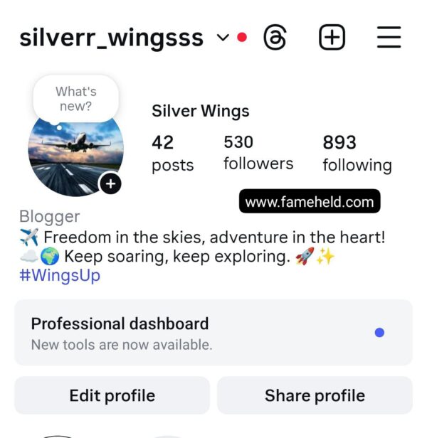 0.5k airplane