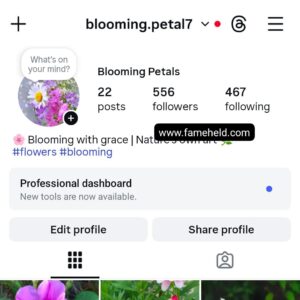 Buy Instagram Account