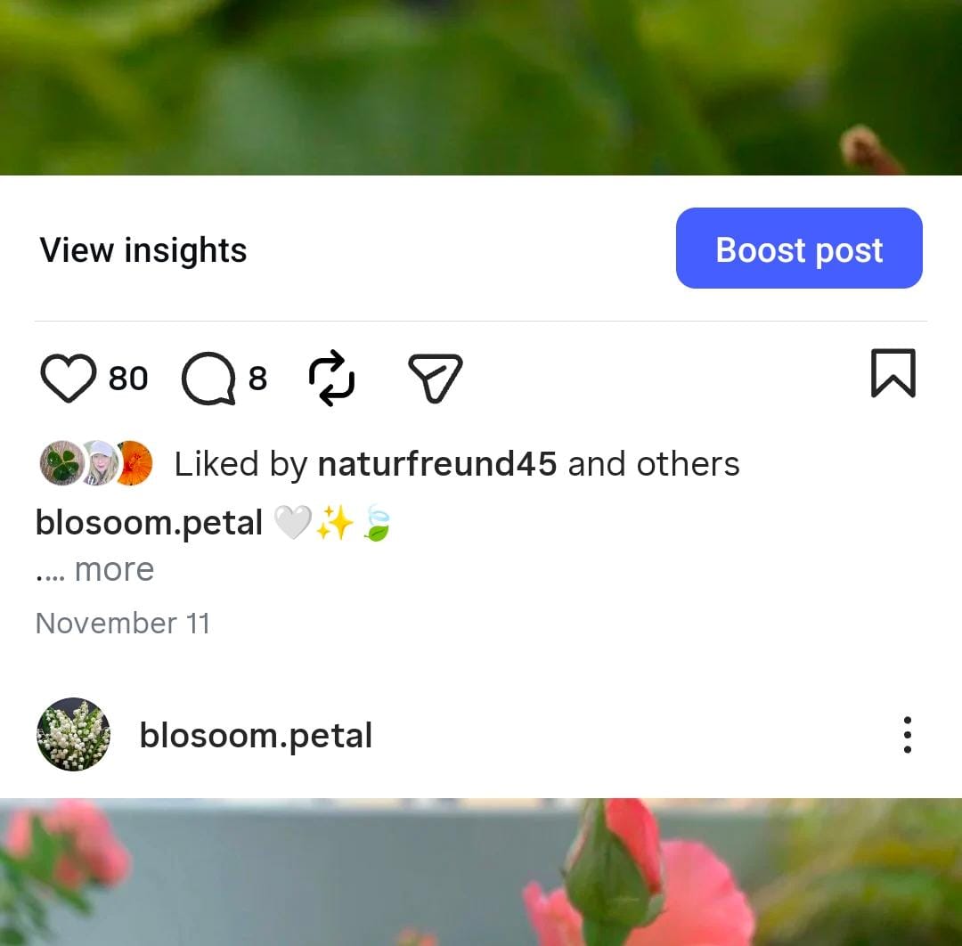 Buy Instagram Account