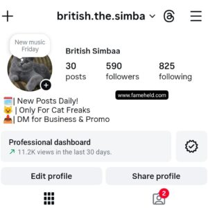 Buy Instagram Account