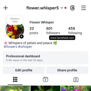 Buy Instagram Account