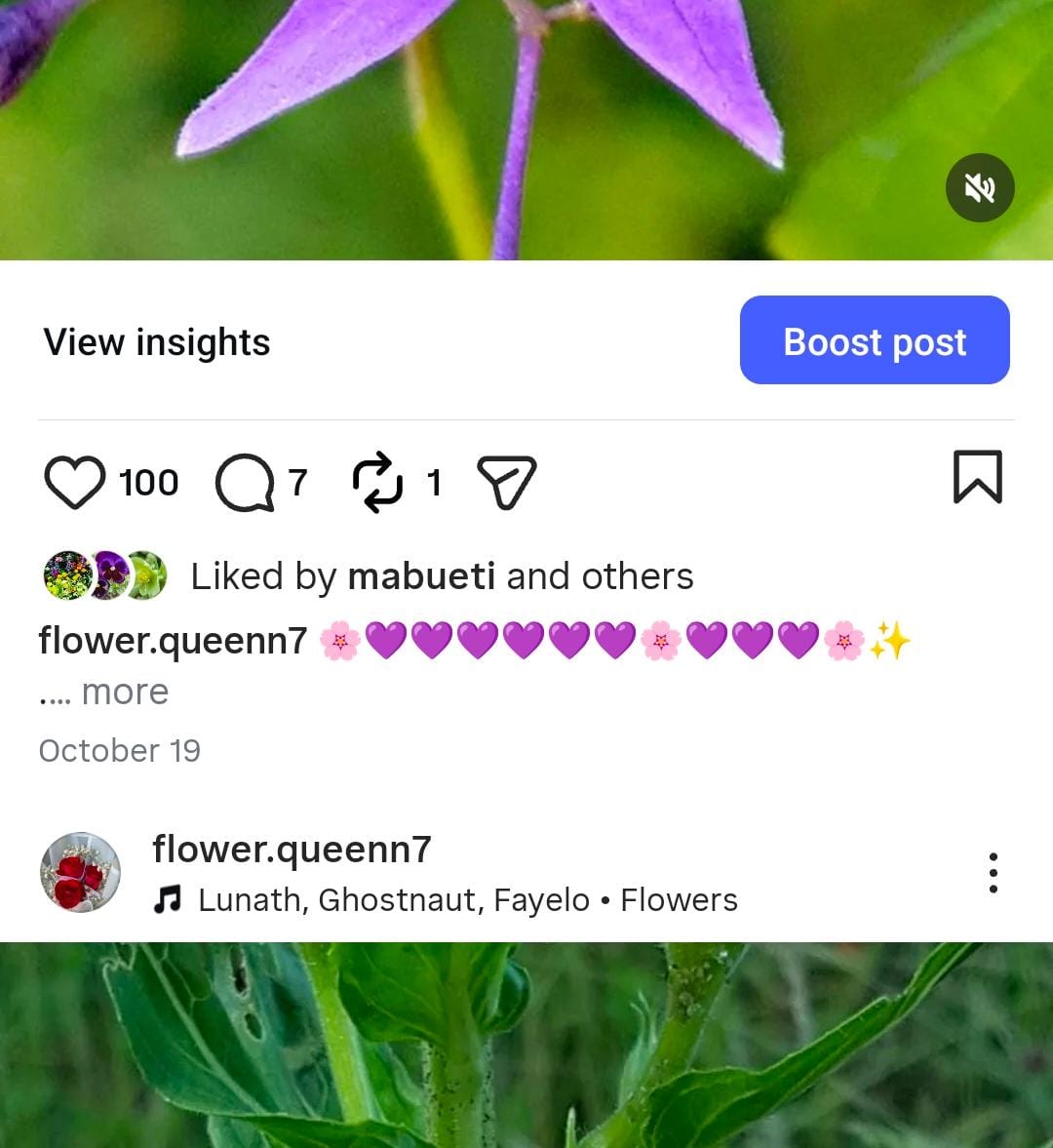 0.5k flowers - Image 3