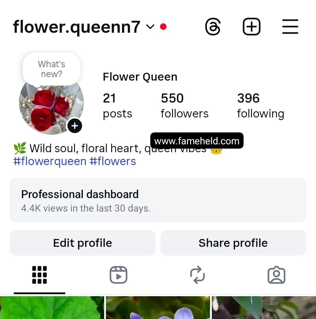 Buy Instagram Account