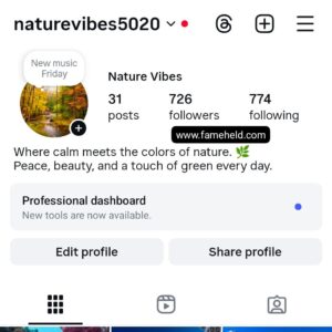 Buy Instagram Accounts