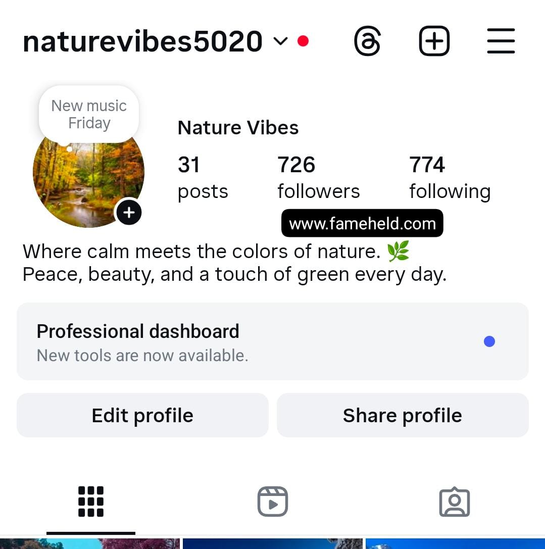 Buy Instagram Accounts