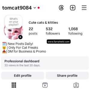 Buy Instagram Account